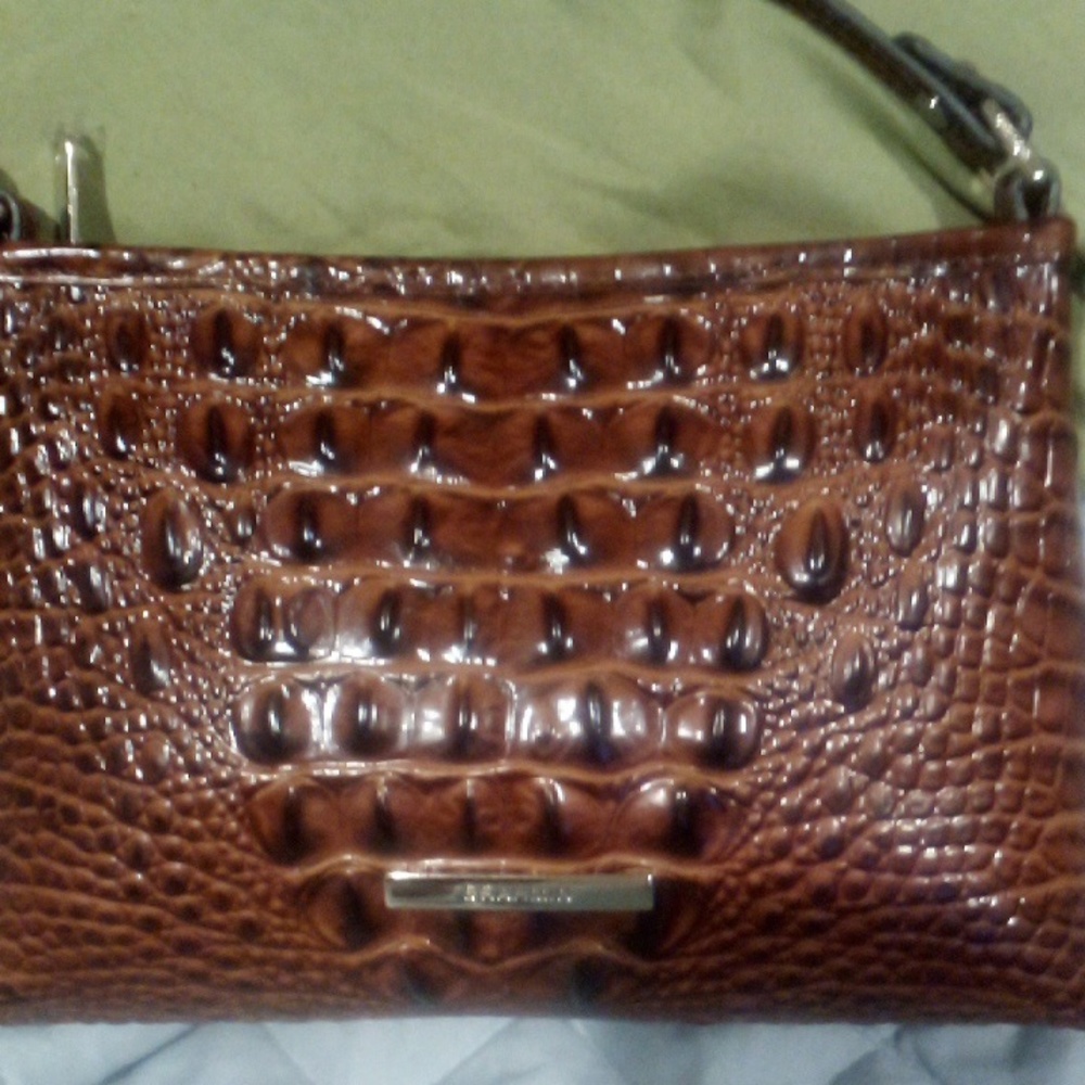 Small Brahmin bag